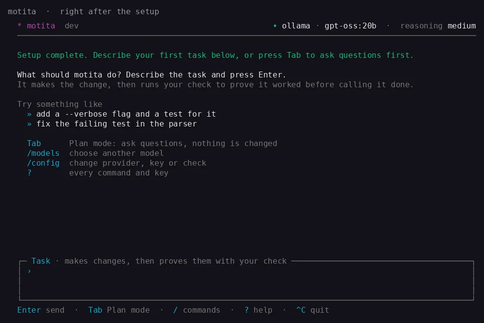 The terminal interface right after setup: suggestions for a first task, Plan mode on Tab, and the commands /models, /config and ?.
