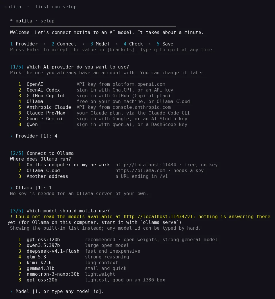 The first-run wizard: pick a provider from eight, how to connect, and which model to use.